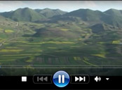 ��������֧�������С��