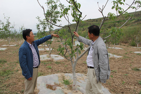 ���ؼӴ�����ĵ����ҵ�˲���ѵ���ؽ�������